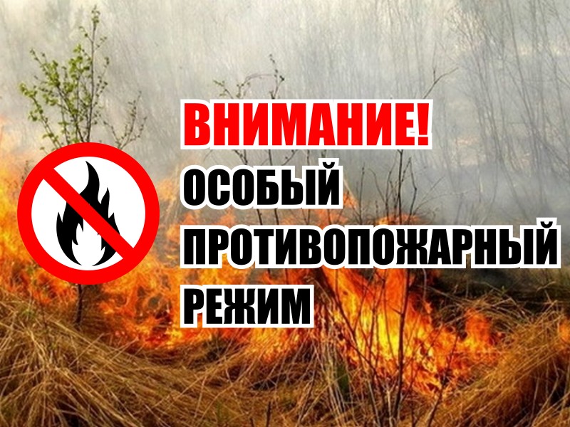 Картинка к новости о введении противопожарного режима с 1 апреля 2024 года.